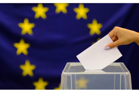 Europawahl am 9. Juni 2024 - Infos für Beckum