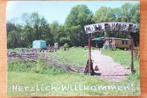 Picknicktag der Beckumer DRK Natur- und Waldkita „Die Mühlenkinder