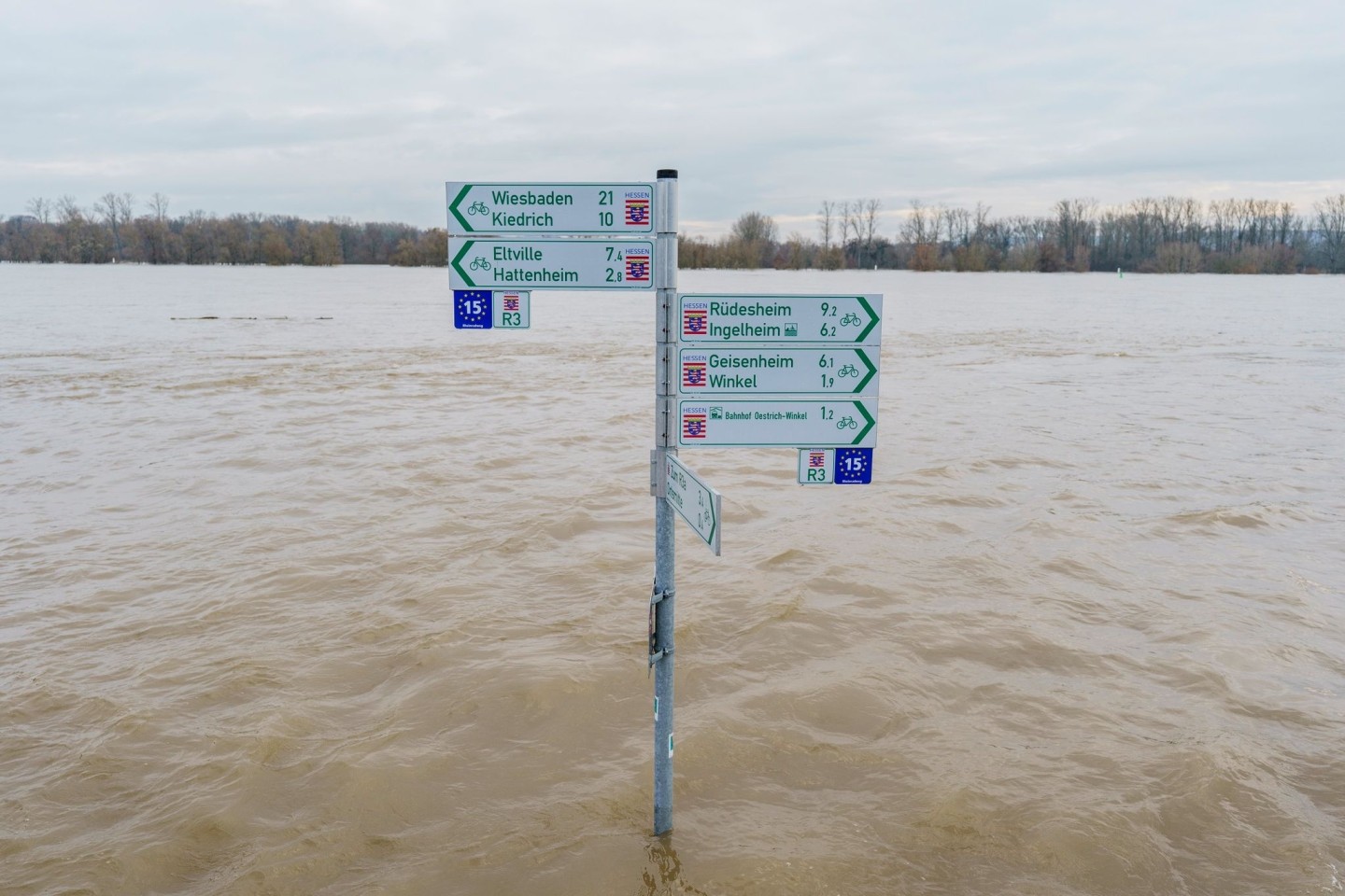 Der Radweg mit Beschilderung am Rheinufer im Ortsteil Mittelheim (Oestrich-Winkel) steht komplett unter Wasser.