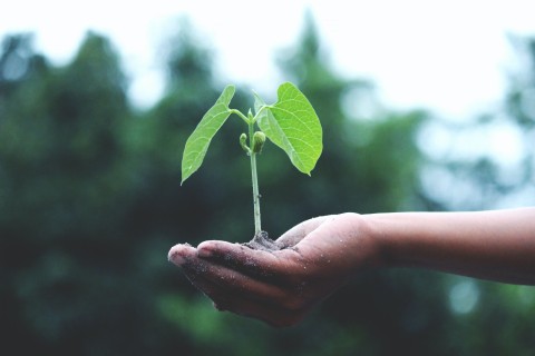 Klimaschutzpreis Beckum 2024: Jetzt mitmachen!