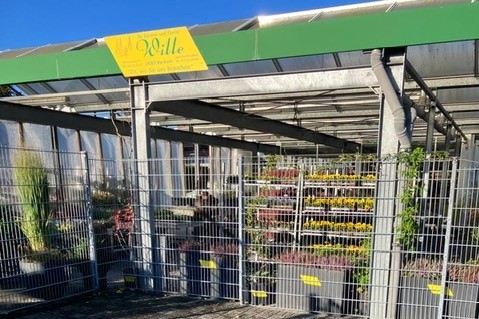 Wiedereröffnung in Neubeckum bei Wille – Ihr Gärtner und Florist