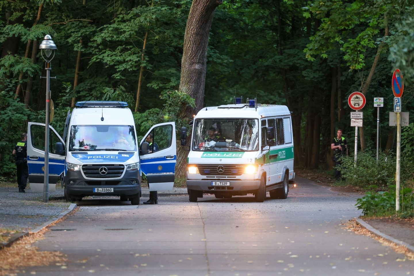 Polizeiautos fahren aus dem Wald in dem sich die Raubkatze befinden soll.